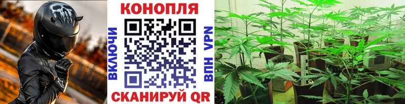 Шишки марихуана Ganja  Очёр 